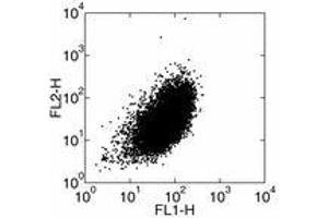 Image no. 1 for anti-Interleukin 1 alpha (IL1A) antibody (FITC) (ABIN473783)