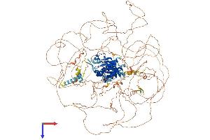 AlphaFold protein structure predicition of Mouse Recombinant Lmtk2 Protein, UniprotID Q3TYD6