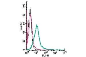 Cell surface detection of P2Y1 Receptor by direct flow cytometry in live intact mouse BV-2 microglia cells: (black line) Cells.