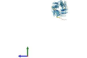 AlphaFold protein structure predicition of Human Recombinant ZNF493 Protein, UniprotID Q6ZR52