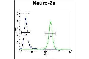 Flow cytometric analysis of Neuro-2a cells (right histogram) compared to a negative control cell (left histogram). (CEP89 anticorps  (C-Term))