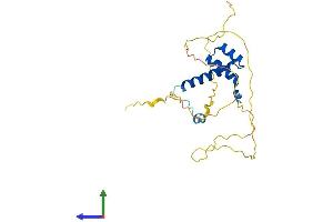 AlphaFold protein structure predicition of Mouse Recombinant Bsx Protein, UniprotID Q810B3