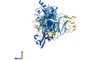 AlphaFold protein structure predicition of Human Recombinant CAPN13 Protein, UniprotID Q6MZZ7