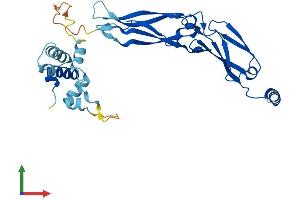 AlphaFold protein structure predicition of Human Recombinant DNAJB13 Protein, UniprotID P59910