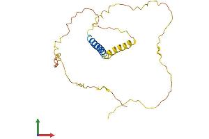 AlphaFold protein structure predicition of Human Recombinant KCNE4 Protein, UniprotID Q8WWG9