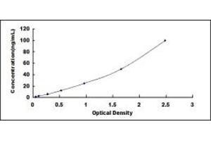 Typical standard curve (C1QA Kit ELISA)