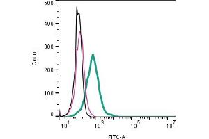 Cell surface detection of Adenosine A1 Receptor by direct flow cytometry in live intact mouse J774 macrophage cell line: + Rabbit IgG Isotype Control-FITC (ABIN7582044). (ADORA1 anticorps  (Extracellular) (FITC))