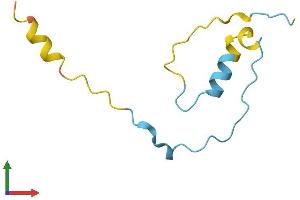 AlphaFold protein structure predicition of Mouse Recombinant Cdc42se2 Protein, UniprotID Q8BGH7