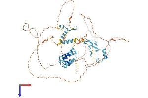 AlphaFold protein structure predicition of Mouse Recombinant Med26 Protein, UniprotID Q7TN02