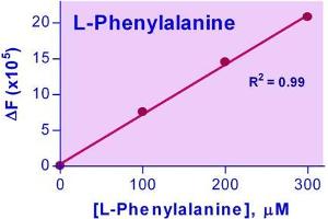 Biochemical Assay (BCA) image for Phenylalanine Assay Kit (ABIN1000326) (Phenylalanine Assay Kit)