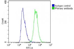 Overlay histogram showing A431 cells stained with (ABIN6242879 and ABIN6578848)(green line).