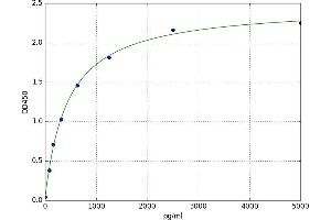 A typical standard curve