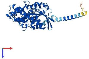 AlphaFold protein structure predicition of Mouse Recombinant Gnal Protein, UniprotID Q8CGK7