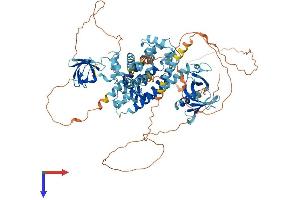 AlphaFold protein structure predicition of Human Recombinant ARHGEF7 Protein, UniprotID Q14155