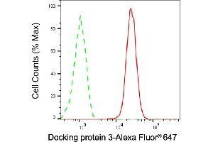 anti-Docking Protein 3 (DOK3) antibody