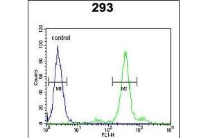 PGD Antibody (Center) (ABIN651639 and ABIN2840342) flow cytometric analysis of 293 cells (right histogram) compared to a negative control cell (left histogram). (PGD anticorps  (AA 236-265))