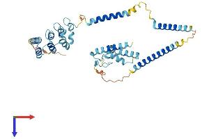 AlphaFold protein structure predicition of Human Recombinant NFKBIL1 Protein, UniprotID Q9UBC1