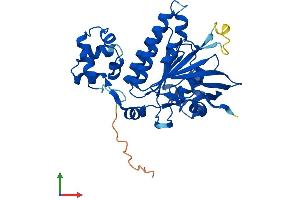 AlphaFold protein structure predicition of Human Recombinant DMC1 Protein, UniprotID Q14565