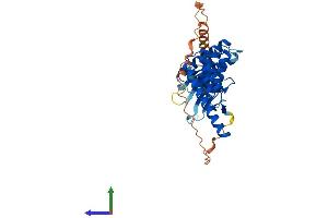 AlphaFold protein structure predicition of Human Recombinant FKBPL Protein, UniprotID Q9UIM3