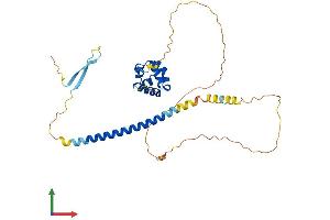 AlphaFold protein structure predicition of Human Recombinant SCML1 Protein, UniprotID Q9UN30