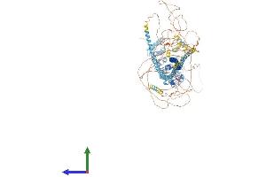 AlphaFold protein structure predicition of Human Recombinant TSC1 Protein, UniprotID Q92574