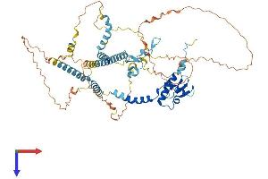AlphaFold protein structure predicition of Mouse Recombinant Ncaph2 Protein, UniprotID Q8BSP2