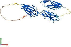 AlphaFold protein structure predicition of Mouse Recombinant Mybphl Protein, UniprotID Q5FW53