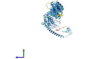 AlphaFold protein structure predicition of Human Recombinant TGFBRAP1 Protein, UniprotID Q8WUH2
