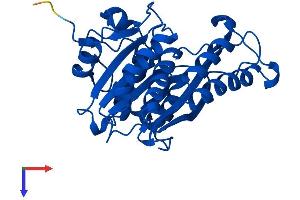 AlphaFold protein structure predicition of Mouse Recombinant Memo1 Protein, UniprotID Q91VH6