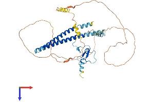AlphaFold protein structure predicition of Mouse Recombinant Ing3 Protein, UniprotID Q8VEK6