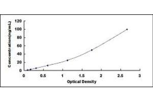 Typical standard curve (CD8B Kit ELISA)