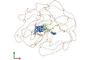AlphaFold protein structure predicition of Human Recombinant RAB11FIP1 Protein, UniprotID Q6WKZ4