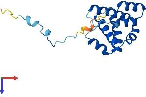 AlphaFold protein structure predicition of Human Recombinant ARPC5L Protein, UniprotID Q9BPX5