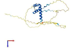 AlphaFold protein structure predicition of Mouse Recombinant Prop1 Protein, UniprotID P97458