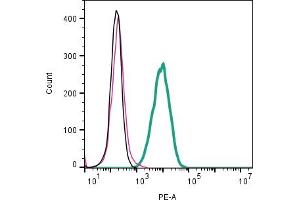 Cell surface detection of KCa3.