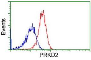Flow Cytometry (FACS) image for anti-Protein Kinase D2 (PKD2) antibody (ABIN1500414) (PKD2 anticorps)