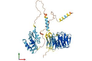 AlphaFold protein structure predicition of Human Recombinant TAF5L Protein, UniprotID O75529
