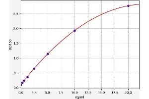 Typical standard curve (HOGA1 Kit ELISA)