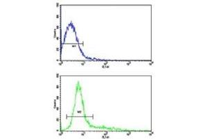 Flow cytometric analysis of Jurkat cells using CD9 antibody (bottom histogram) compared to a negative control (top histogram).
