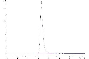 The purity of Biotinylated Human CD7 is greater than 95 % as determined by SEC-HPLC.