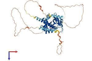 AlphaFold protein structure predicition of Mouse Recombinant Rrp8 Protein, UniprotID Q9DB85