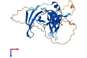 AlphaFold protein structure predicition of Human Recombinant SPIN1 Protein, UniprotID Q9Y657