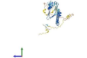 AlphaFold protein structure predicition of Mouse Recombinant E2f5 Protein, UniprotID Q61502
