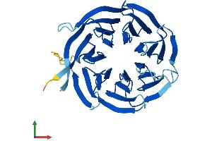 AlphaFold protein structure predicition of Mouse Recombinant Rack1 Protein, UniprotID P68040