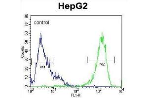 MAPK1 Antibody flow cytometric analysis of HepG2 cells (right histogram) compared to a negative control cell (left histogram). (ERK2 anticorps  (C-Term))