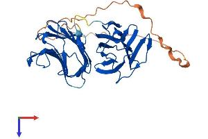 AlphaFold protein structure predicition of Human Recombinant LGALS9B Protein, UniprotID Q3B8N2