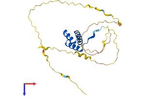 AlphaFold protein structure predicition of Mouse Recombinant Dlx4 Protein, UniprotID P70436