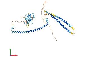 AlphaFold protein structure predicition of Human Recombinant RASSF9 Protein, UniprotID O75901