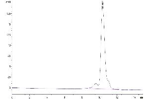 The purity of Biotinylated Human TROP-2 is greater than 95 % as determined by SEC-HPLC.
