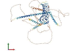 AlphaFold protein structure predicition of Mouse Recombinant Cep97 Protein, UniprotID Q9CZ62